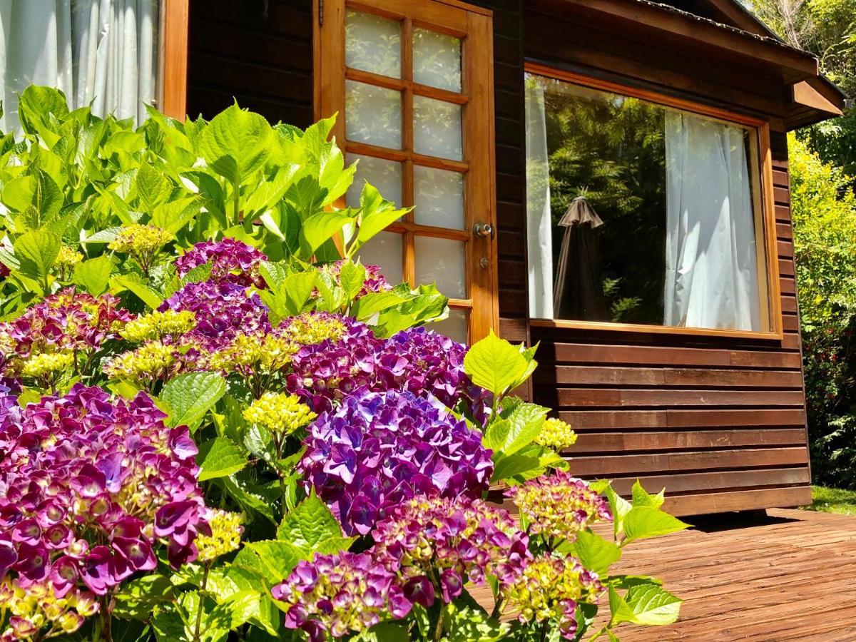 Cabanas Monte Verde Pucón Exteriör bild